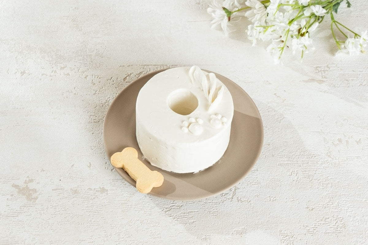 犬用ケーキ　Shiro