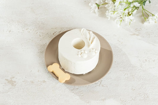 犬用ケーキ　Shiro