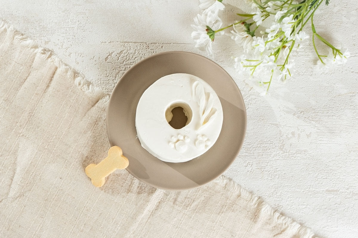 犬用ケーキ　Shiro